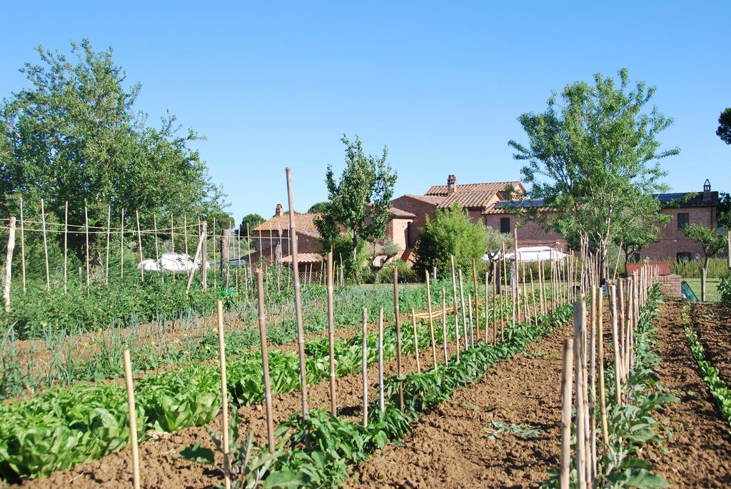 Agriturismo Le Torri Di Porsenna Petrignano Del Lago Екстер'єр фото